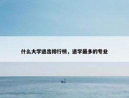 什么大学退出排行榜，退学最多的专业