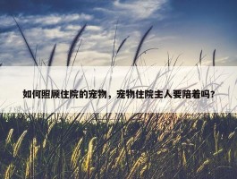 如何照顾住院的宠物，宠物住院主人要陪着吗?