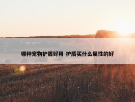 哪种宠物护盾好用 护盾买什么属性的好