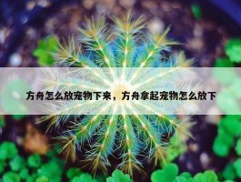 方舟怎么放宠物下来，方舟拿起宠物怎么放下