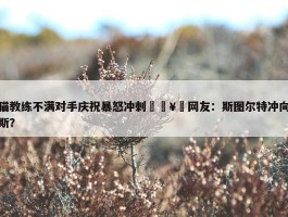 山猫教练不满对手庆祝暴怒冲刺🥵网友：斯图尔特冲向詹姆斯？