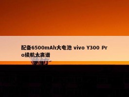 配备6500mAh大电池 vivo Y300 Pro续航太离谱