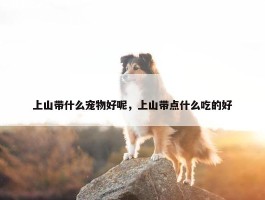 上山带什么宠物好呢，上山带点什么吃的好