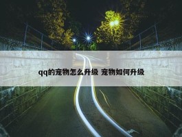 qq的宠物怎么升级 宠物如何升级