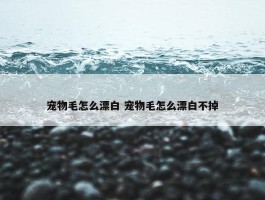 宠物毛怎么漂白 宠物毛怎么漂白不掉