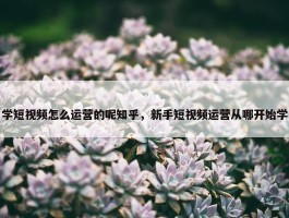 学短视频怎么运营的呢知乎，新手短视频运营从哪开始学