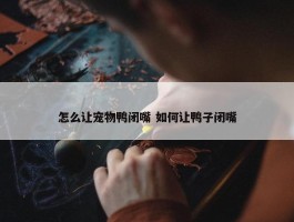 怎么让宠物鸭闭嘴 如何让鸭子闭嘴