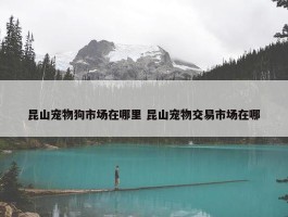 昆山宠物狗市场在哪里 昆山宠物交易市场在哪