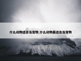 什么动物适合当宠物 什么动物最适合当宠物