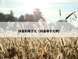 抖音的等于几（抖音等于几啊）