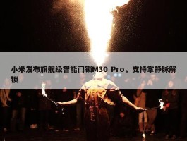 小米发布旗舰级智能门锁M30 Pro，支持掌静脉解锁