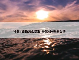 神武4宠物怎么捉取 神武4神宠怎么得