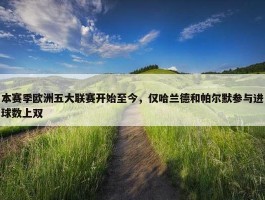 本赛季欧洲五大联赛开始至今，仅哈兰德和帕尔默参与进球数上双