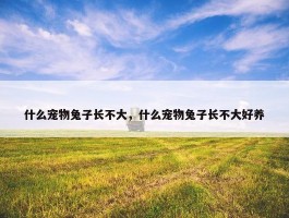 什么宠物兔子长不大，什么宠物兔子长不大好养