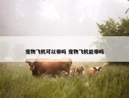 宠物飞机可以带吗 宠物飞机能带吗