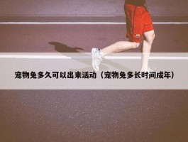 宠物兔多久可以出来活动（宠物兔多长时间成年）