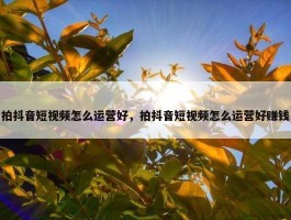 拍抖音短视频怎么运营好，拍抖音短视频怎么运营好赚钱