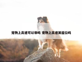 宠物上高速可以带吗 宠物上高速算座位吗