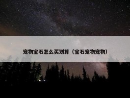 宠物宝石怎么买划算（宝石宠物宠物）