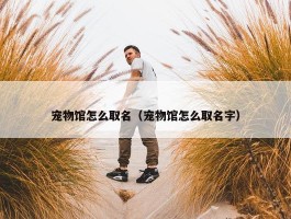 宠物馆怎么取名（宠物馆怎么取名字）