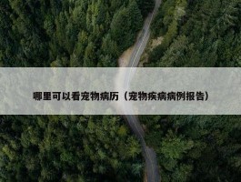 哪里可以看宠物病历（宠物疾病病例报告）