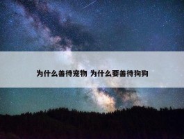 为什么善待宠物 为什么要善待狗狗