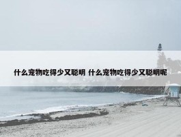 什么宠物吃得少又聪明 什么宠物吃得少又聪明呢