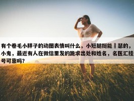 有个卷毛小胖子的动图表情叫什么，小短腿挺能嘚瑟的，小鬼，最近有人在微信里发的跪求出处和姓名，名医汇挂号可靠吗？