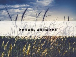 怎么打宠物，宠物的宠怎么打