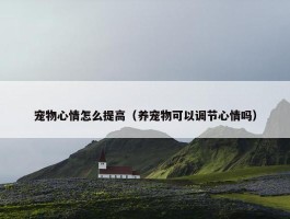 宠物心情怎么提高（养宠物可以调节心情吗）