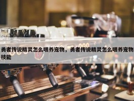 勇者传说精灵怎么喂养宠物，勇者传说精灵怎么喂养宠物技能