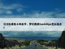 汪汪队黑色小狗名字，梦幻西游1wdd4ps怎么加点？