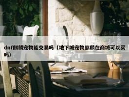 dnf麒麟宠物能交易吗（地下城宠物麒麟在商城可以买吗）