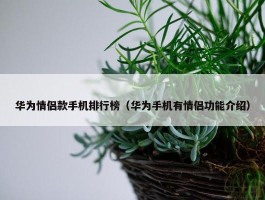 华为情侣款手机排行榜（华为手机有情侣功能介绍）