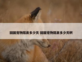 回国宠物隔离多少天 回国宠物隔离多少天啊