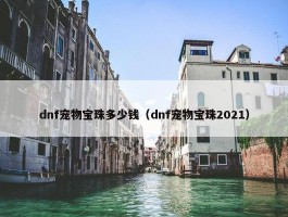 dnf宠物宝珠多少钱（dnf宠物宝珠2021）