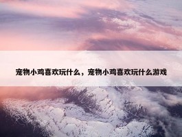 宠物小鸡喜欢玩什么，宠物小鸡喜欢玩什么游戏