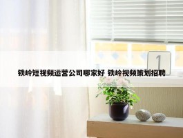 铁岭短视频运营公司哪家好 铁岭视频策划招聘