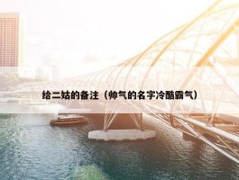 给二姑的备注（帅气的名字冷酷霸气）