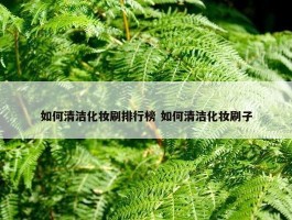 如何清洁化妆刷排行榜 如何清洁化妆刷子