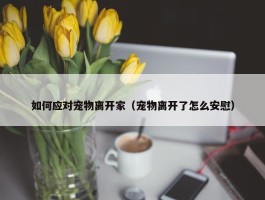 如何应对宠物离开家（宠物离开了怎么安慰）