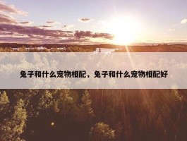 兔子和什么宠物相配，兔子和什么宠物相配好