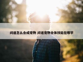 问道怎么合成宠物 问道宠物合体技能在哪学