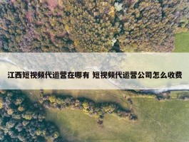 江西短视频代运营在哪有 短视频代运营公司怎么收费