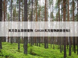 天刀怎么获得宠物（2020天刀宠物刷新坐标）