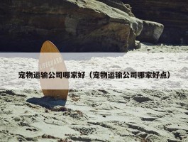 宠物运输公司哪家好（宠物运输公司哪家好点）