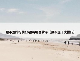 尿不湿排行榜10强有哪些牌子（尿不湿十大排行）