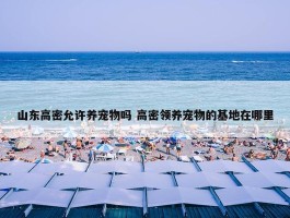 山东高密允许养宠物吗 高密领养宠物的基地在哪里