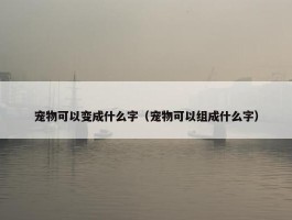 宠物可以变成什么字（宠物可以组成什么字）