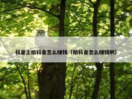 抖音上拍抖音怎么赚钱（拍抖音怎么赚钱啊）